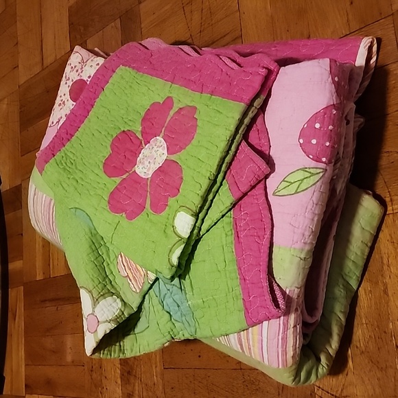 [Item 55] 100% quilt with sham Queen size reversible- girls